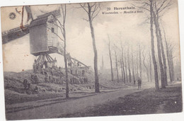 49225  Herenthals  Windmolen    Moulin à  Vent - Herentals