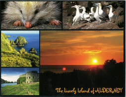 5 Views Of "The Lovely Island Of Alderney"-inc. Sunset & A Blonde Hedgehog-ile Aurigny - Alderney