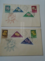 D187153  Hungary  FDC  Covers - 1958  Flowers   Lot Of 2  Small Covers - Covers & Documents