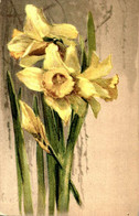 > Fleurs, Plantes & Arbres > Fleurs CARTE GAUFREE/// 47 /// - Fleurs