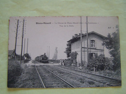 BLANC-MESNIL. SEINE SAINT DENIS. LE BLANC-MESNIL.  LES TRAINS. LES GARES. LA DEESSE DE BLANC-MESNIL DITE "LA PARISIENNE" - Le Blanc-Mesnil