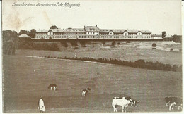 Sanatorium  Provincial De Magnée.   (2 Scans) - Fléron