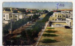 Algérie--COLOMB BECHAR--BECHAR--1956--Avenue De La Gare,cpsm 9 X 14 Couleur éd R.Delayance - Bechar (Colomb Béchar)