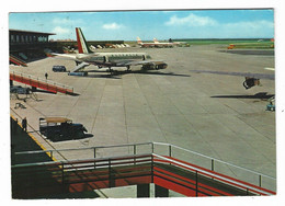 13604 CLC - FIUMICINO AREOPORTO INTERCONTINENTALE DI ROMA LEONARDO DA VINCI - AEREO AIRPLANE 1962 - Fiumicino