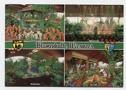 AK 020839 GERMANY - Wiesmoor - Blumenhalle - Wiesmoor