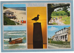 Renesse - (Zeeland, Nederland/Holland) -  Nr. REE 10 - Renesse