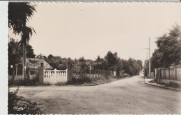 La Queue En Brie (94 - Val De Marne) Lotissement Des Bordes - Rue Lamartine - La Queue En Brie