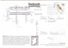 2002 FRINGILLA COELEBS CARTOLINA IRLANDA PER ITALIA - Brieven En Documenten