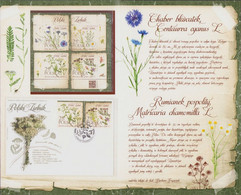 Poland 2017 Booklet / Polish Herbarium - Cornflower, Common Chamomile, Yarrow, Sand Thyme Herbs / FDC + Sheet MNH** - Carnets