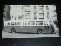 PHOTO De BUS - LIGNE CINQ AVENUES - BOULEVARD VAUBAN - MARSEILLE  (TW) - Autobus & Pullman