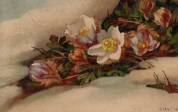 Belle Illustrée Signée A. HALLER : Roses De Noël Dans La Neige 2 - Haller, A.