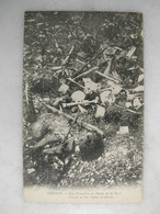 MILITARIA - VERDUN - Une Tranchée Au Ravin De La Mort - Weltkrieg 1914-18