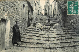 Pont Croix * Le Bas De La Rue Du Cher * Villageois Cochons - Pont-Croix