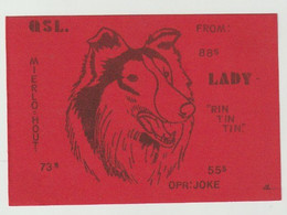 QSL Card 27MC Lady Rin Tin Tin Mierlo-hout Helmond (NL) - CB