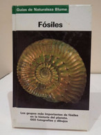 Fósiles. Karl Beurlen Y Gerhard Lichter. Ilustrado Por Fritz Wendler. Blume. 1990. 287 Pp. - Practical