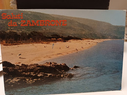 Cartolina Saluti Da Zambrone Prov Reggio Calabria , Dintorni Di Tropea ,timbro Camping Villaggio La Bianca Spiaggia - Vibo Valentia