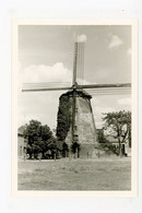 E061 - Hamme Bij Dendermonde Foto Ong 8x12cm - Molen - Moulin - Mill - Mühle - - Hamme
