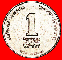 * LILY (1985-1993): PALESTINE (israel)★1 NEW SHEQUEL 5752 (1992) DISCOVERY COIN! GERMANY, CANADA★LOW START★ NO RESERVE! - Israel