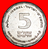 * COLUMN (1990-2017): PALESTINE (israel) ★ 5 NEW SHEQELS 5759 (1999) DISCOVERY COIN! NETHERLANDS★LOW START★ NO RESERVE! - Israel