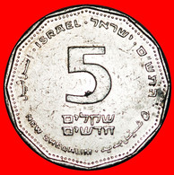 * ANTIC COLUMN (1990-2017): PALESTINE (israel) ★5 NEW SHEQELS 5760 (2000) DISCOVERY COIN! FINLAND★LOW START★ NO RESERVE! - Israel