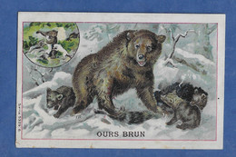 CHROMO IMAGE Chocolat DUROYON ET RAMETTE - CAMBRAI - L'OURS Brun Serie 5329 B - Duroyon & Ramette