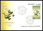 Egypt - 2006 - FDC - ( 25th Africa Cup Of Nations Soccer Tournament ) - Africa Cup Of Nations