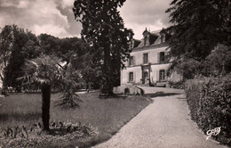 Aizenay : Le Château (cpsm) - Aizenay