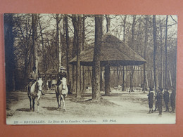 Bruxelles Le Bois De La Cambre Cavaliers - Forêts, Parcs, Jardins