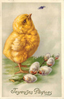 Animaux * Poussin Chick * Fête Joyeuses Pâques - Andere & Zonder Classificatie