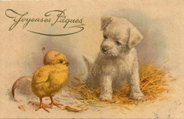 Animaux * Chien Et Poussin Dog And Chick * Fête Joyeuses Pâques - Chiens