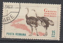 ROUMANIE ROMANIA RUMANIEN  1967  AUTRUCHE TB - Autruches