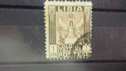 LIBYE COLONIE ITALIENNE YVERT N° 31 - Libia