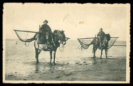 Cp Dentelée - WESTENDE - Pêcheurs De Crevettes - Garnalenvissers - Filet - Chevaux - Animée - Edit. NELS THILL - 1958 - Westende