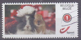 Belgie - OBP - Mystamp - Konijn  - Zonder Papierresten - Used Stamps