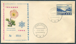 1963 Iceland Glaciological Society Vatnajökull Expedition Cover - Cartas & Documentos