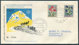 1960 Iceland Glaciological Society Vatnajökull Expedition Cover - Storia Postale