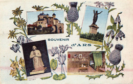 Souvenir D'Ars  Multivues - Ars-sur-Formans
