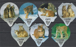 Switzerland, Coffee Cream Labels, Lynx-Luchs, Lot Of 20. - Milk Tops (Milk Lids)