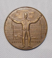 Médaille CNPPA NCPGE Aan Lieutenant Frison Kapelmeester 16°divisie Mechelen 1965 - 50 Mm - Belgien