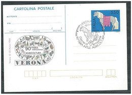 REPUBBLICA 1988 - 90^ Fiera Inter. Dell'Agricoltura Cartolina Postale - £. 550 - Filagrano 211 Annullo FDC - Stamped Stationery