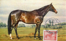 68122 Argentina, Maximum 1960  Horse,  Cheval   Pferd - Horses