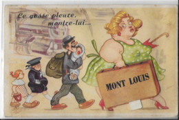 Montlouis-Le Gosse Pleure, Montre-lui ...carte Avec Dépliant Dans La Valise - Other Municipalities