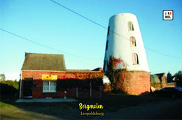 Carte Postale, Moulin A Vent, Belgium (Limburg), Leopoldsburg, Bergmolen - Windmills