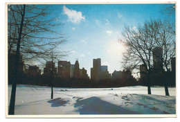 WINTER IN CENTRAL PARK SILHOUETTED AGAINST NEW YORK'S LUXURY HOTELS AND APARTMENT BUILDINGS.- NEW YORK CITY.- ( U.S.A. ) - Parks & Gardens