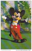 Florida Walt Disney World Welcome Mickey Mouse Has Been The Belover Symbol Of Disney Entertainment - Disneyworld