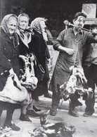 CONTRES Marché Aux Chevreaux 1968 - Unclassified
