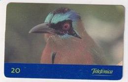 TK 00265 BRAZIL - Telefonica - Zangvogels