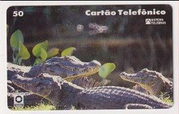 TK 00269 BRAZIL - Telerj - Krokodillen En Alligators