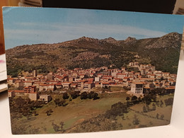 Cartolina Gavoi Prov Nuoro Panorama - Nuoro