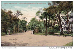 Florida Daytona Volusia Avenue And Three Branched Palmetto - Daytona